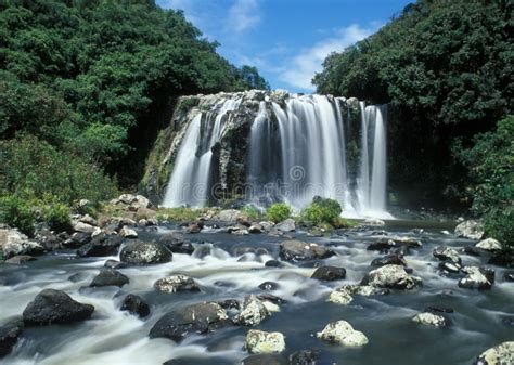 Waterfall in Reunion Island Stock Image - Image of nature, island: 4791967