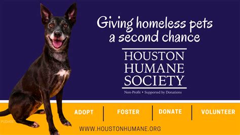 Houston Humane Society - Home