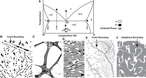 [DIAGRAM] Eutectic Microstructure Binary Phase Diagrams - MYDIAGRAM.ONLINE