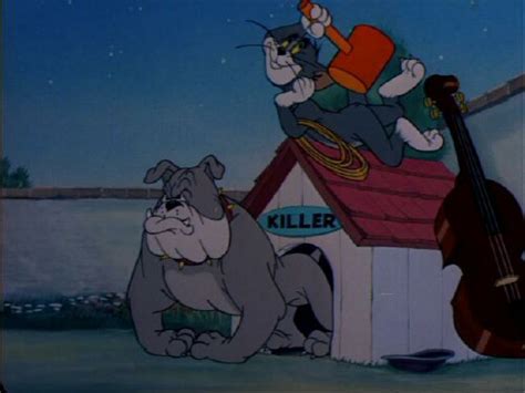 Tom and Jerry: In The Dog House DVD Review | The Other View