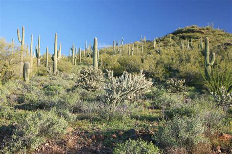 Wickenburg Mountain Ranch - Arizona Land for Sale