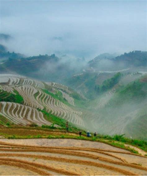 Jinkeng Terraces Hiking Tour - Longji Rice Terraces Tours - Visit Guilin