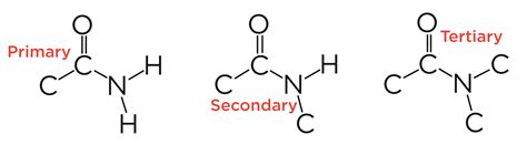 Amine Vs Amide Structure