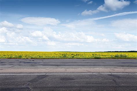 Royalty Free Roadside Pictures, Images and Stock Photos - iStock