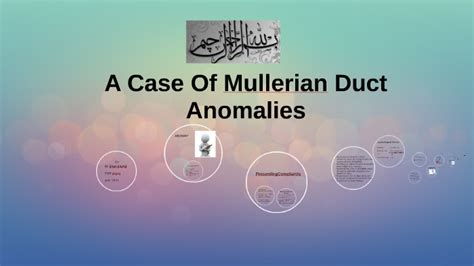 A Case Of Mullerian Duct Anomalies by kiran bshir on Prezi