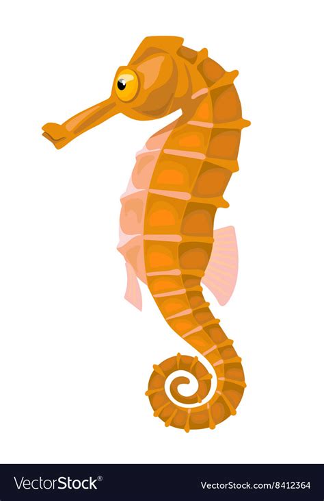 Cartoon isolated orange comic seahorse Royalty Free Vector