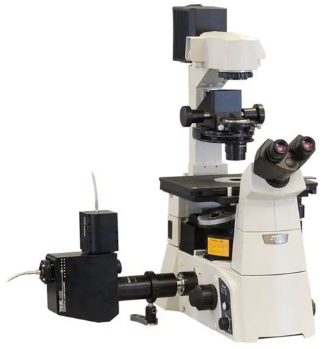 Simple Microscope - Parts, Functions, Diagram and Labelling - Laboratoryinfo.com