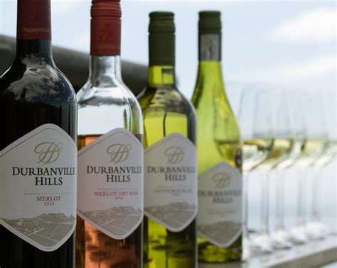 Durbanville Hills Wine Tasting, Cape Winelands | Hotspots2c