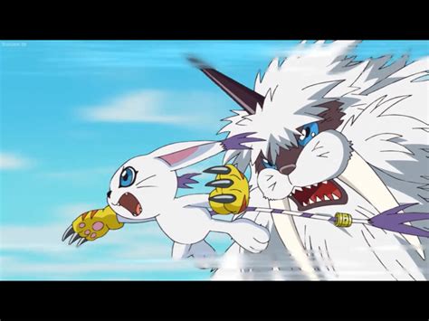 Gatomon and Ikkakumon by Tatsunokoisthebest on DeviantArt