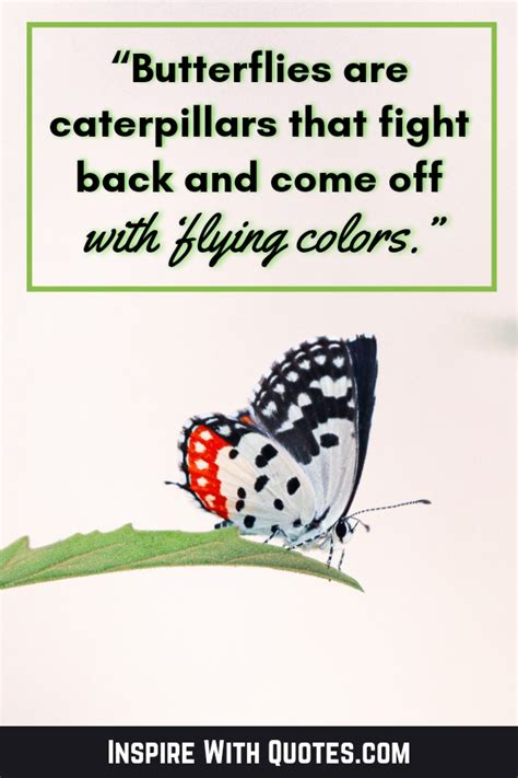 Quotes On Caterpillar Becoming Butterfly - flexmoms