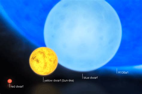 Massive Blue Supergiant Challenges Theory of How Big a Star Can Be | Discover Magazine