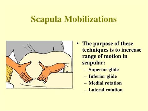 Pin by Jr. Hu on shoulder | Remedial massage