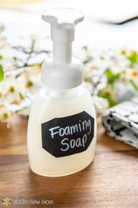 Homemade Moisturizing Foaming Hand Soap - Whole New Mom