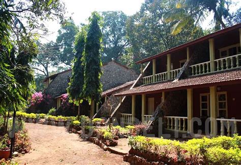 Century Resort Dandeli | Resort, Perfect destination, Wildlife adventure