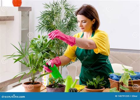 The Female Gardener with Plants Indoors Stock Image - Image of home, floral: 140791235