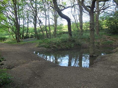 Dried up stream in Round Wood © Stephen Craven cc-by-sa/2.0 :: Geograph Britain and Ireland