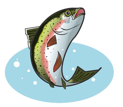 Rainbow trout fish clipart. Free download transparent .PNG | Creazilla