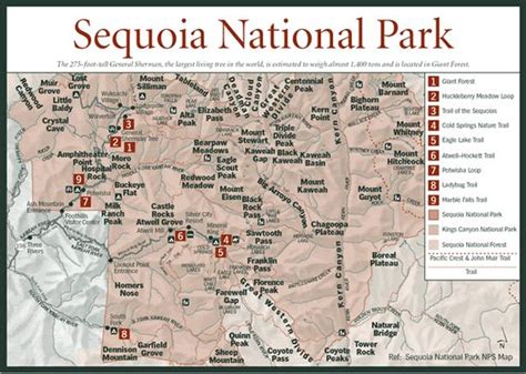 Sequoia National Park Map | Where in the world would you ever find a ...