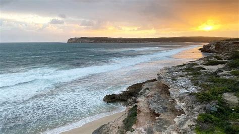 Person 'seriously injured' in shark attack off coast of Yorke Peninsula, police say : r/ABCaus