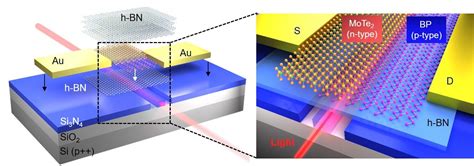 On-chip photodetection: Two-dimensional material heterojunctions - Trendradars Latest