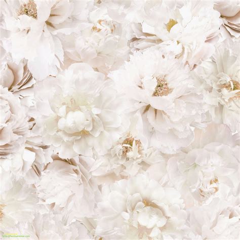 White Flowers Wallpapers - Wallpaper Cave
