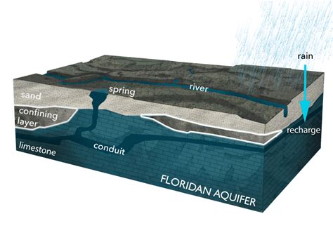 About the Aquifer & Springs – Blue Water Audit