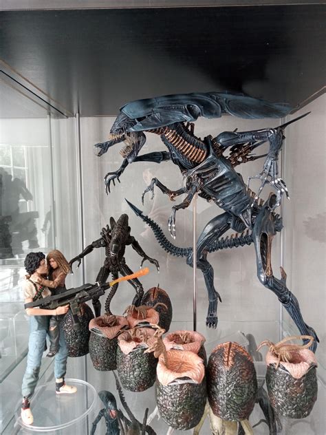 Neca toys Ripley and newt two pack with alien queen and ultimate alien warrior. : r/LV426