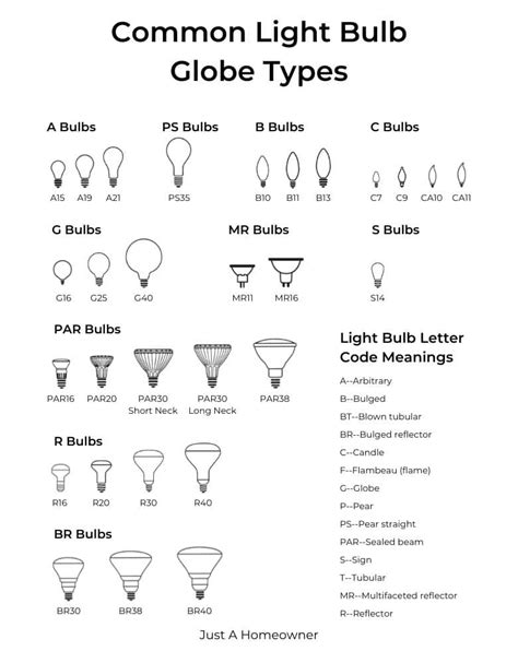 Most Common Light Bulb Base Types, Globe Types, and Uses