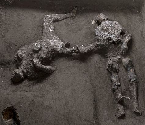 See the new discovery brought to light in Pompeii's excavations