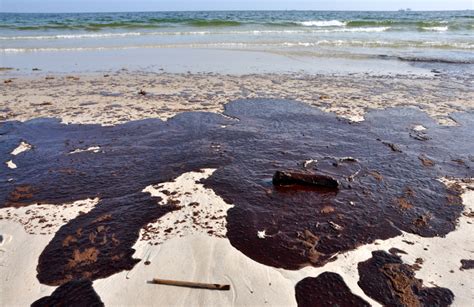 BP Deepwater Horizon oil spill found to have caused over $17 billion in environmental damage ...