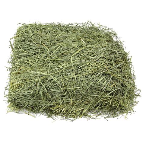 Hay Oat – 9% CP 60% NDF - Equine Nutrition Analysis | Feed Bank