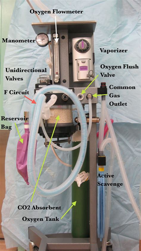 Veterinary Anesthetic Machine Diagram