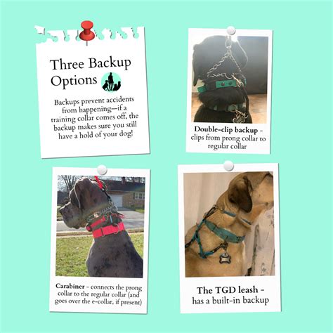 3 Ways to Backup Your Training Collar - Delaware Dog Training — Chaos to Calm K9 Training