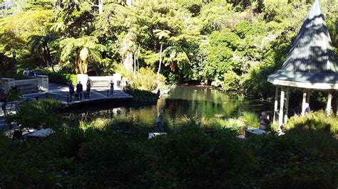 Hidden gems—The Wellington Botanic Garden - myView