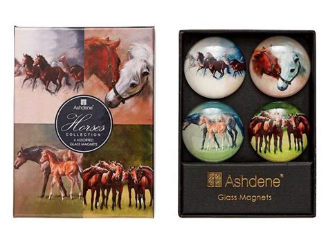 Horse Magnet Set of 4 Glass Designs - Gallop-n-Gifts