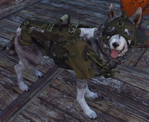 Fallout 4 Dog Armor Some can be purchased from caravans but the rest ...