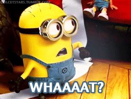 Confused Despicable Me GIF - Find & Share on GIPHY