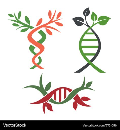 Dna Royalty Free Vector Image - VectorStock