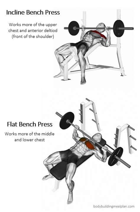 Incline Bench Press vs Flat Bench Press For Building Chest | Nutritioneering