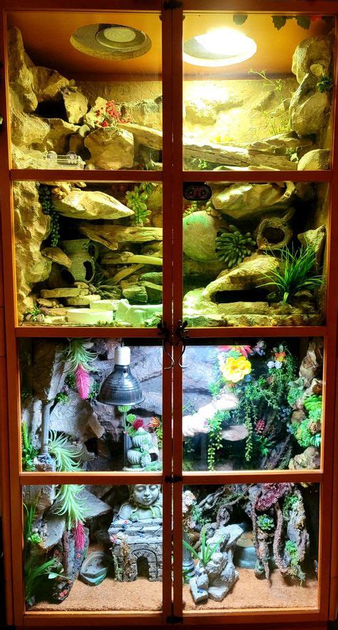 46 Gecko cage ideas in 2021 | reptile terrarium, reptile habitat, reptile enclosure