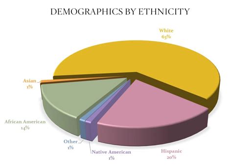 Ethnicity pie chart - Pal-O-Mine