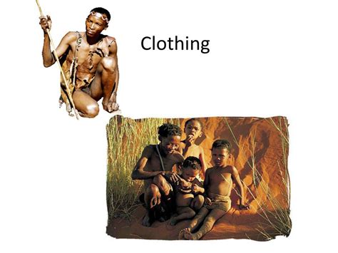 PPT - Kalahari bushmen of africa by Luke Stribley PowerPoint ...