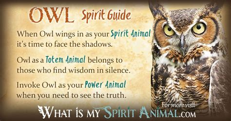 Owl Spirit, Totem, & Power Animal Symbolism and Meaning - What Is My ...