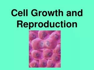 PPT - Organism - reproduction - response - growth PowerPoint Presentation - ID:1314602