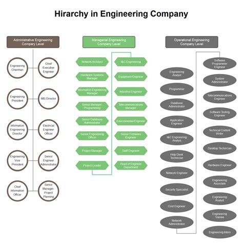 Hierarchy Organizational Chart Complete Guide | EdrawMax