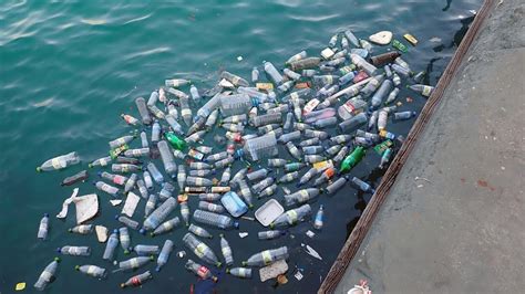 50 Great Pacific Garbage Patch Facts That'll Make You Say No To Plastic