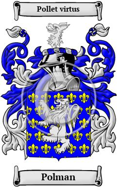 Polman Name Meaning, Family History, Family Crest & Coats of Arms