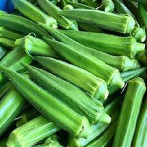 Fresh Vegetables - Wholesale Price & Mandi Rate for Fresh Vegetables