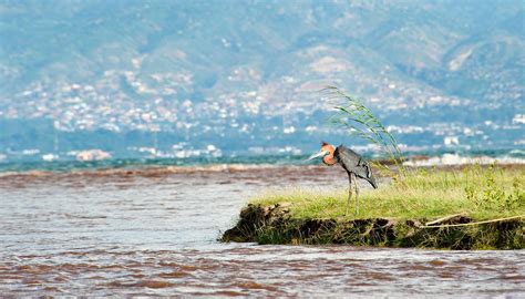 Burundi food and drink guide