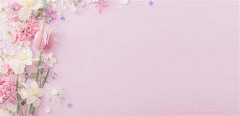 Spring Flower Background Pictures | Best Flower Site